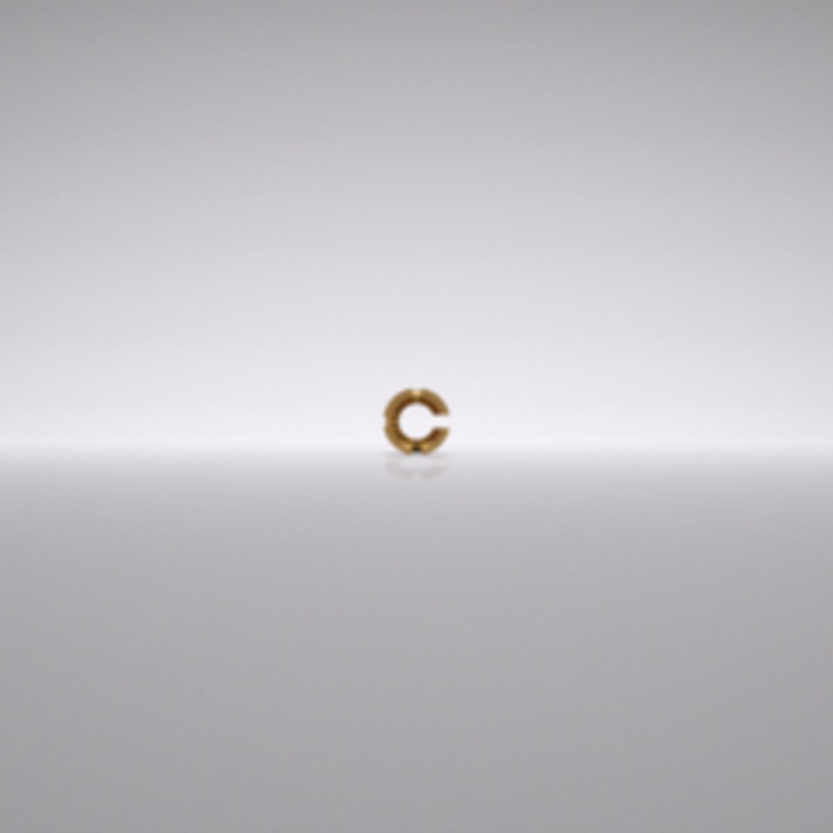 Insert de rétention à lamelles pour matrice CM Dalbo-Plus, CAMLOG